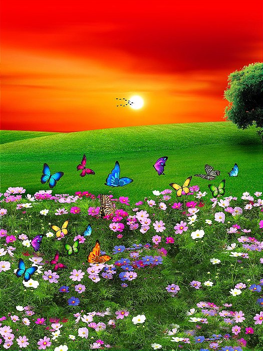 flores para atrair polinizadores