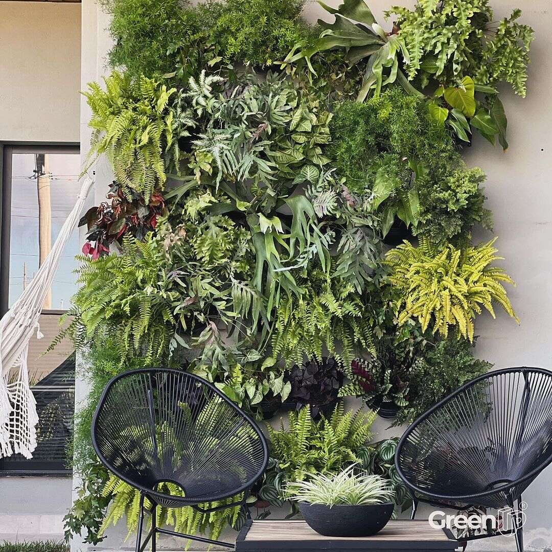 parede verde