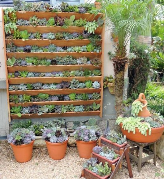 jardim vertical com samambaia