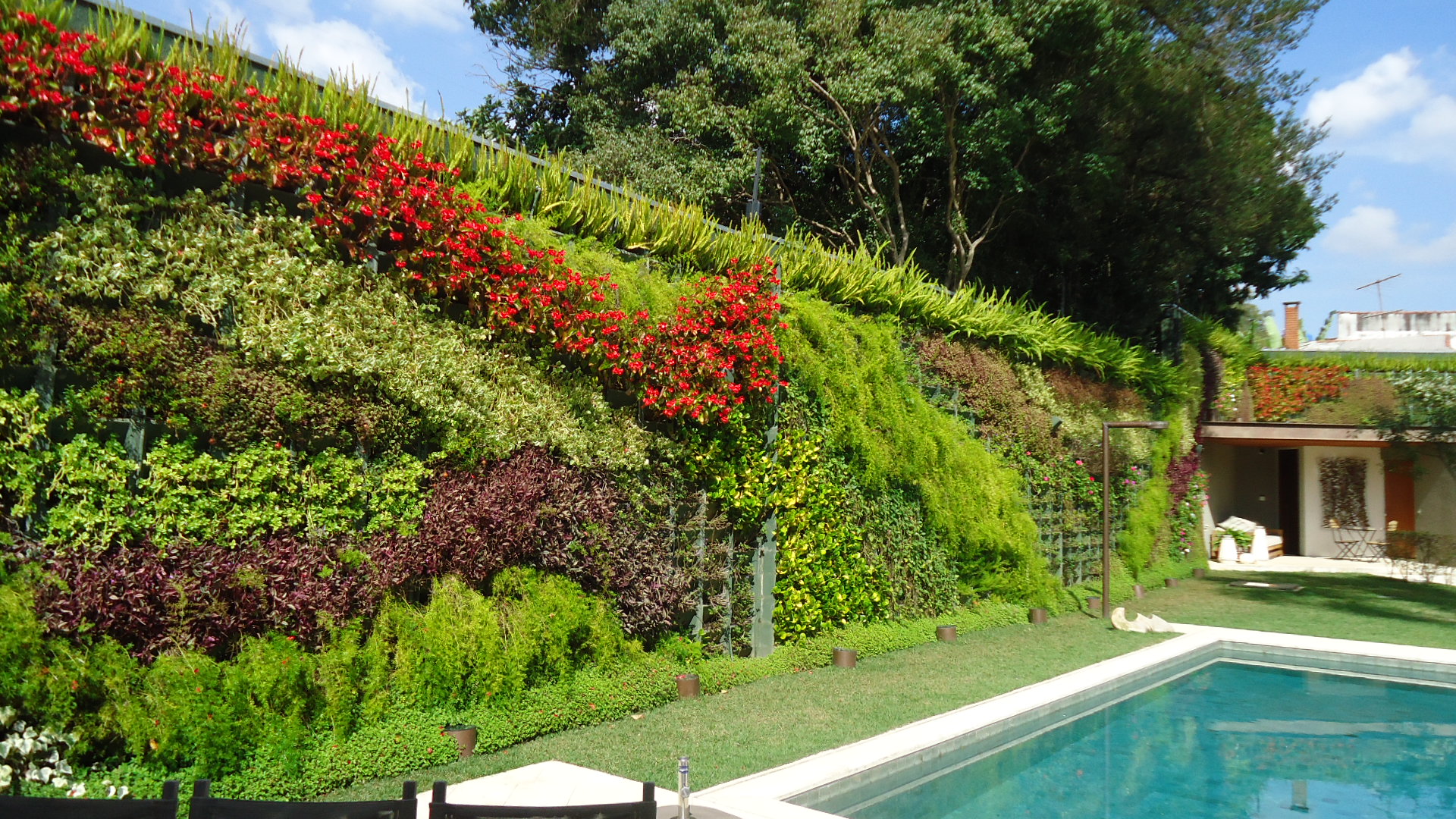 jardim vertical para apartamento