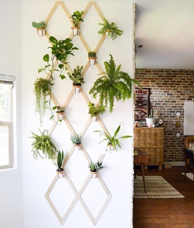 jardim vertical na cozinha