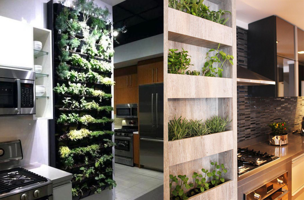 jardim vertical na cozinha vs horta tradicional