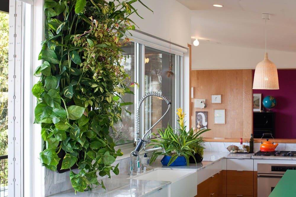jardim vertical na cozinha vs horta tradicional