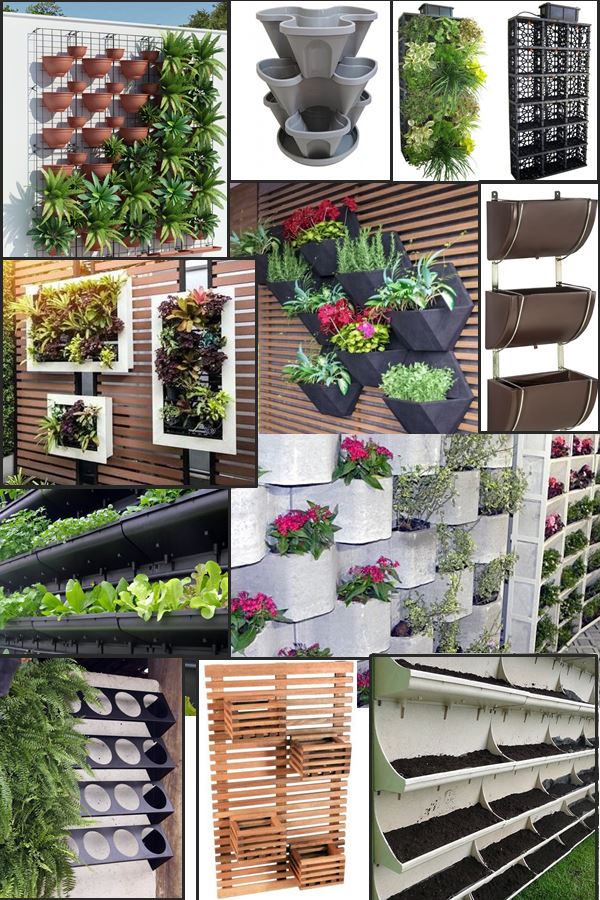 erros comuns ao montar horta vertical na cozinha