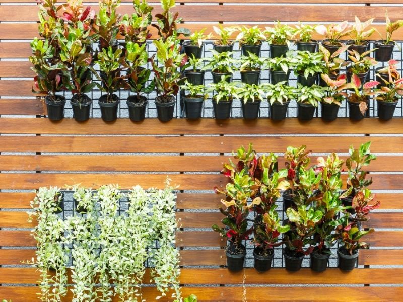 Comparativo de preços: estruturas de jardim vertical no mercado