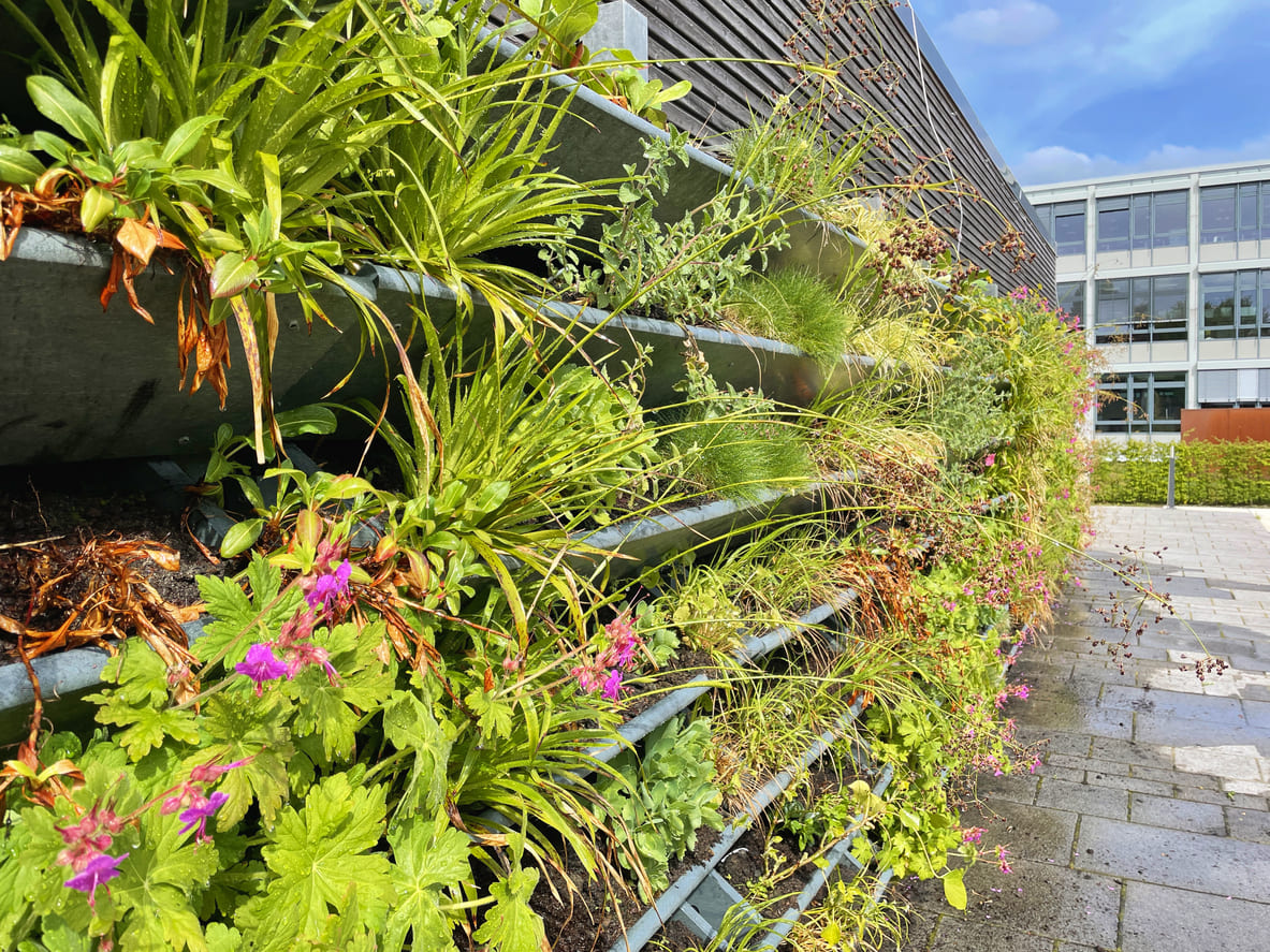 As melhores estruturas de jardim vertical para sua varanda