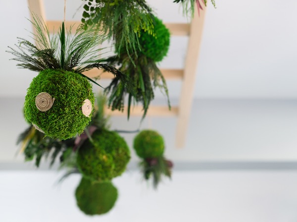 Kokedama na Decoração: Ideias Criativas para Ambientes Internos e Externos