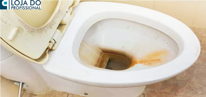 limpar privada muito encardida