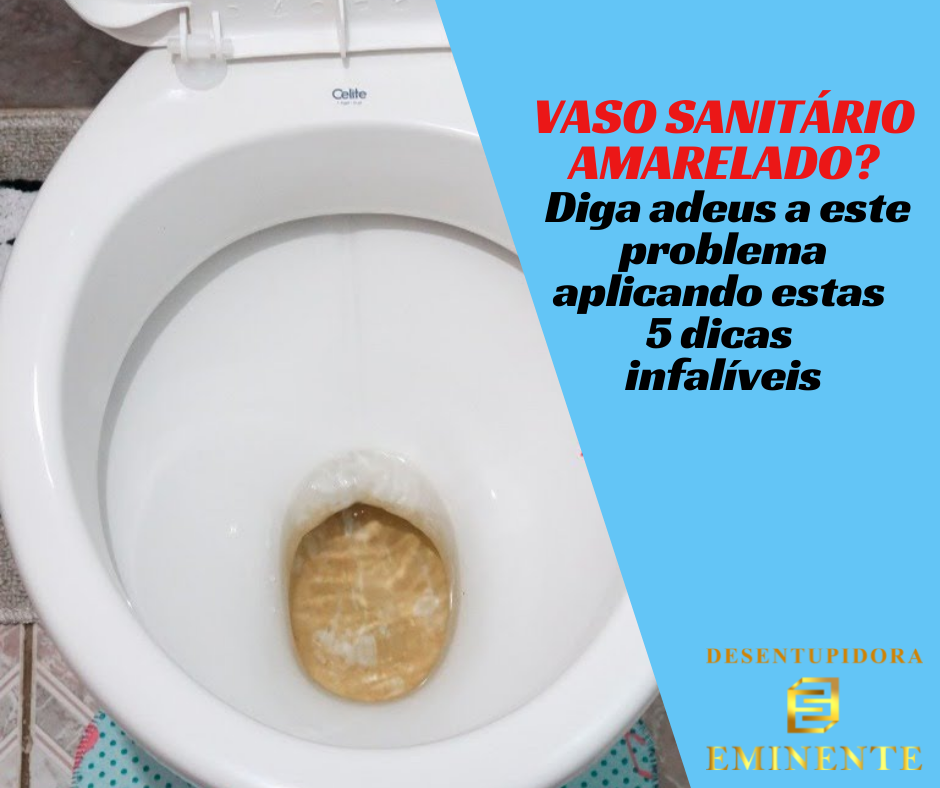 por que minha privada continua encardida