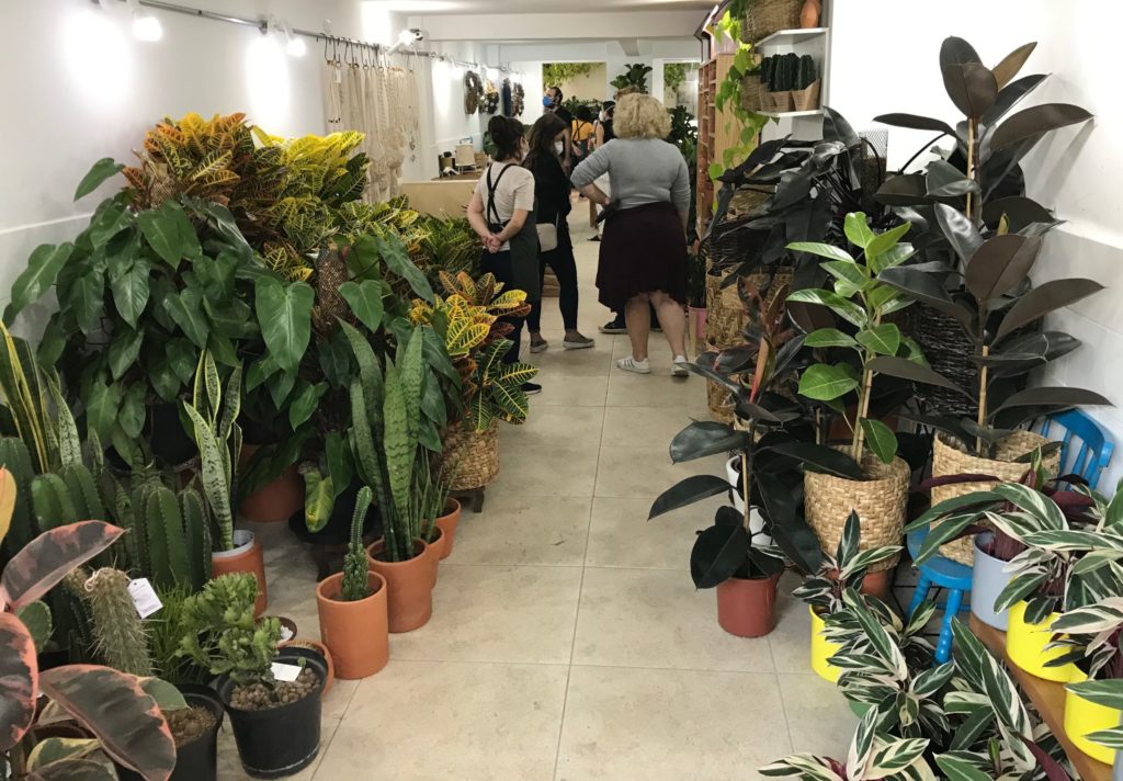 floricultura perto de mim