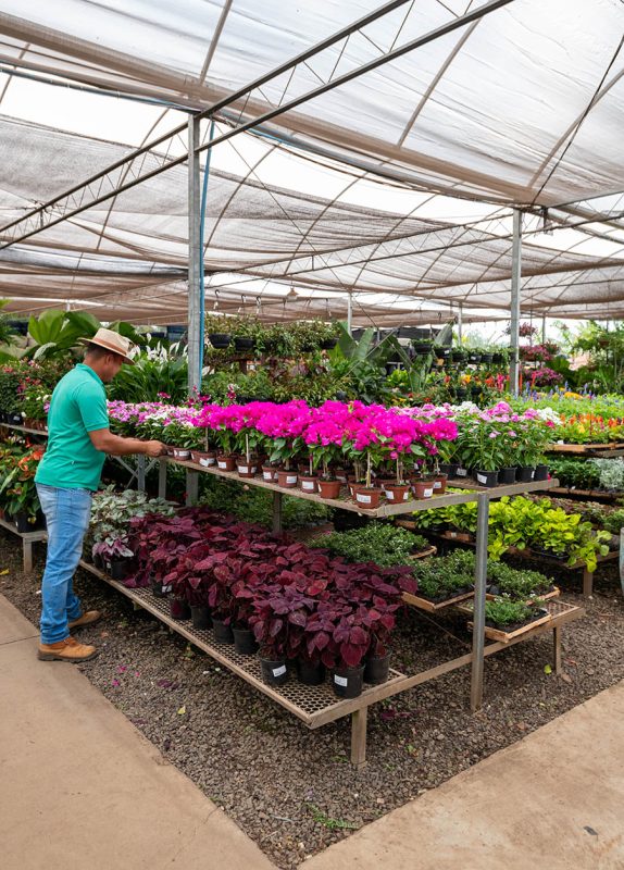 garden center próximo
