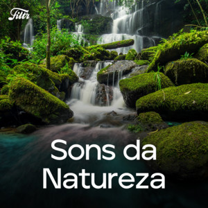 7 sons da natureza para meditar e transformar seu dia