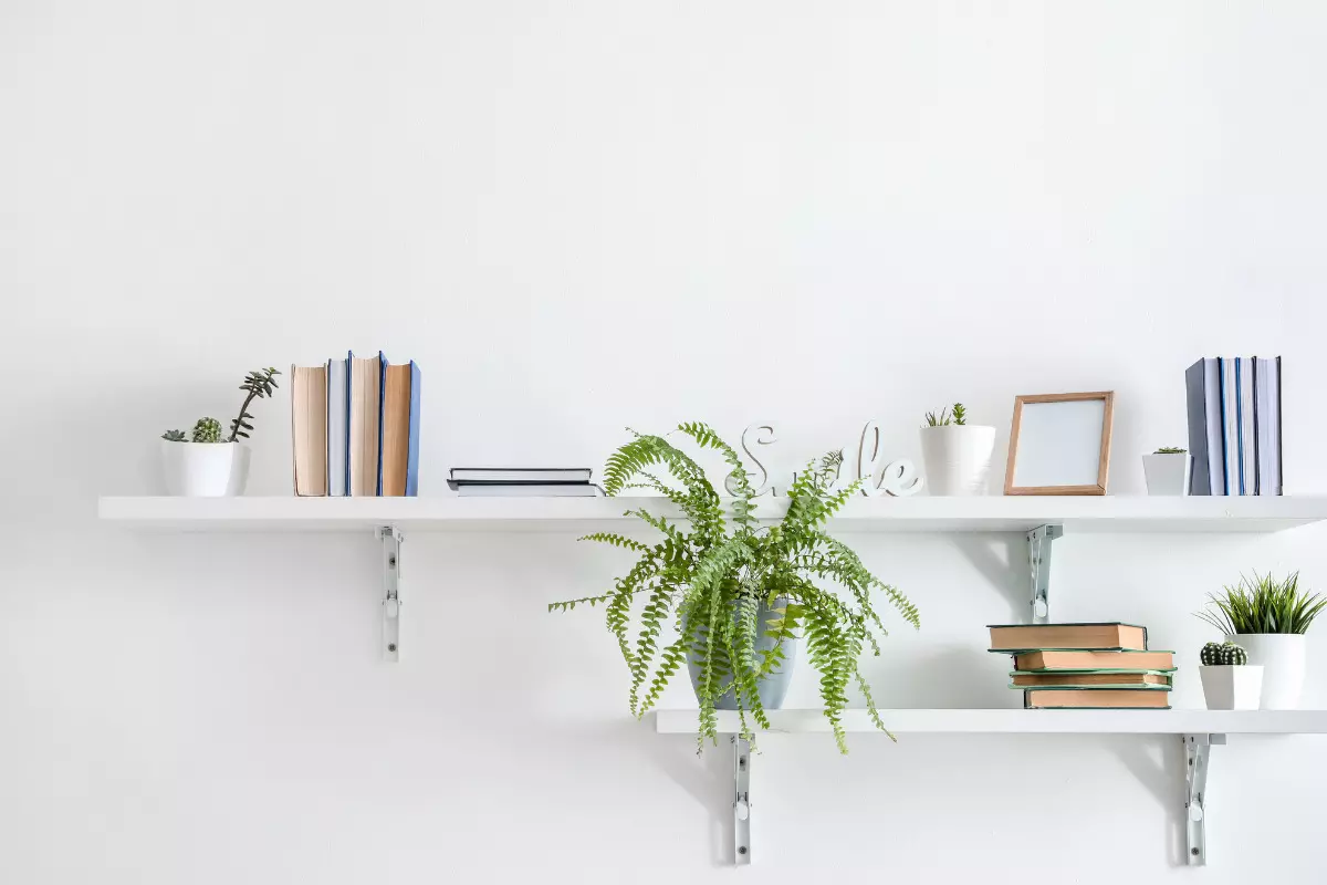 Guia Completo: Como Escolher a Prateleira Ideal para Sua Coleção de Livros