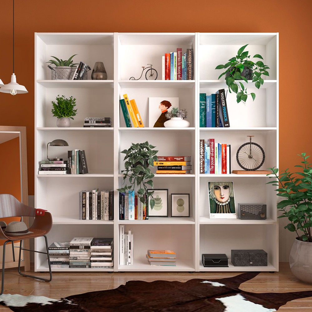 Dicas Essenciais para Organizar e Conservar Seus Livros em Prateleiras