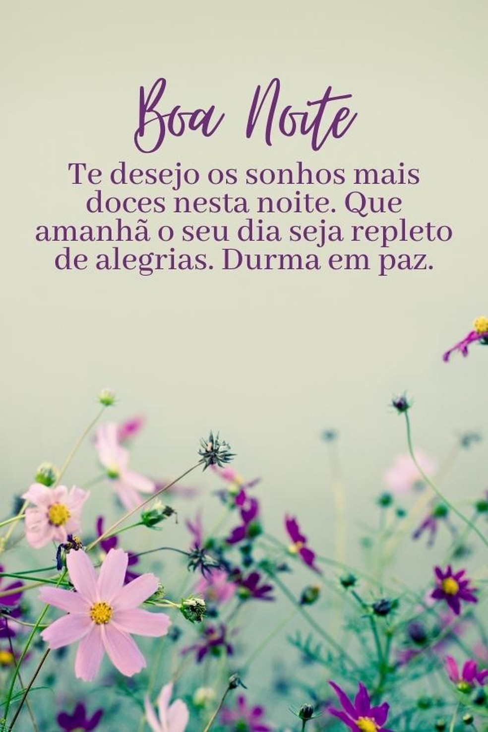 mensagem de boa noite para status engraçada