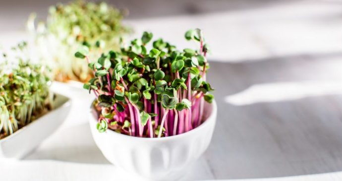 microgreens