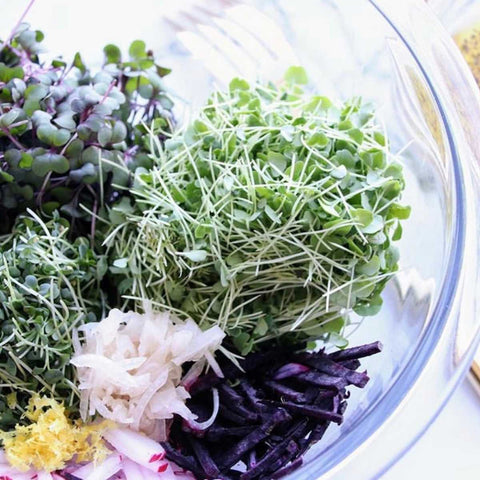 microgreens vs brotos qual a diferença