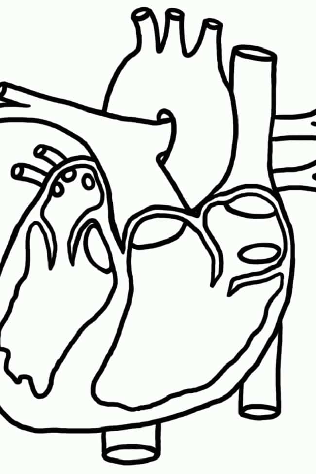 modelo de coracao para imprimir