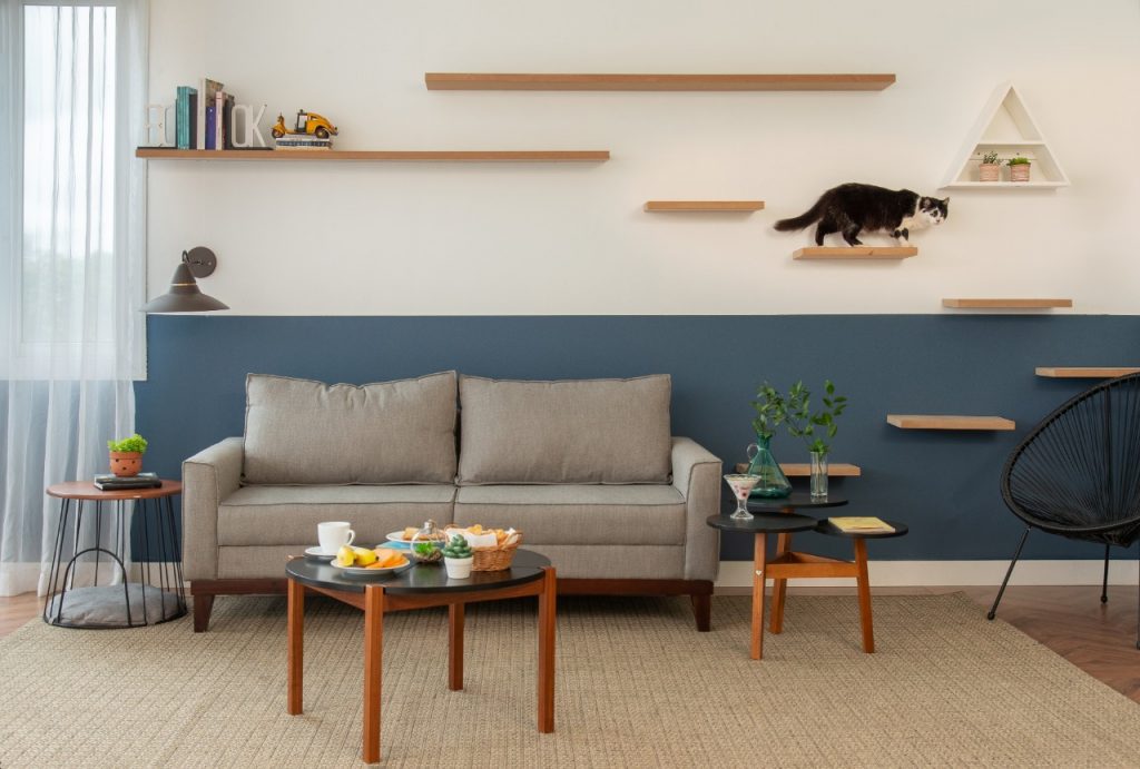 5 ideias de títulos