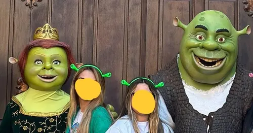 como fazer muda de suculenta orelha de shrek
