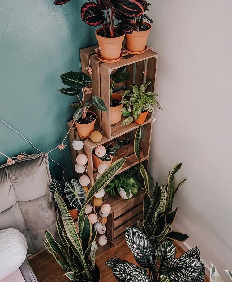 problemas comuns caixote de feira decoracao