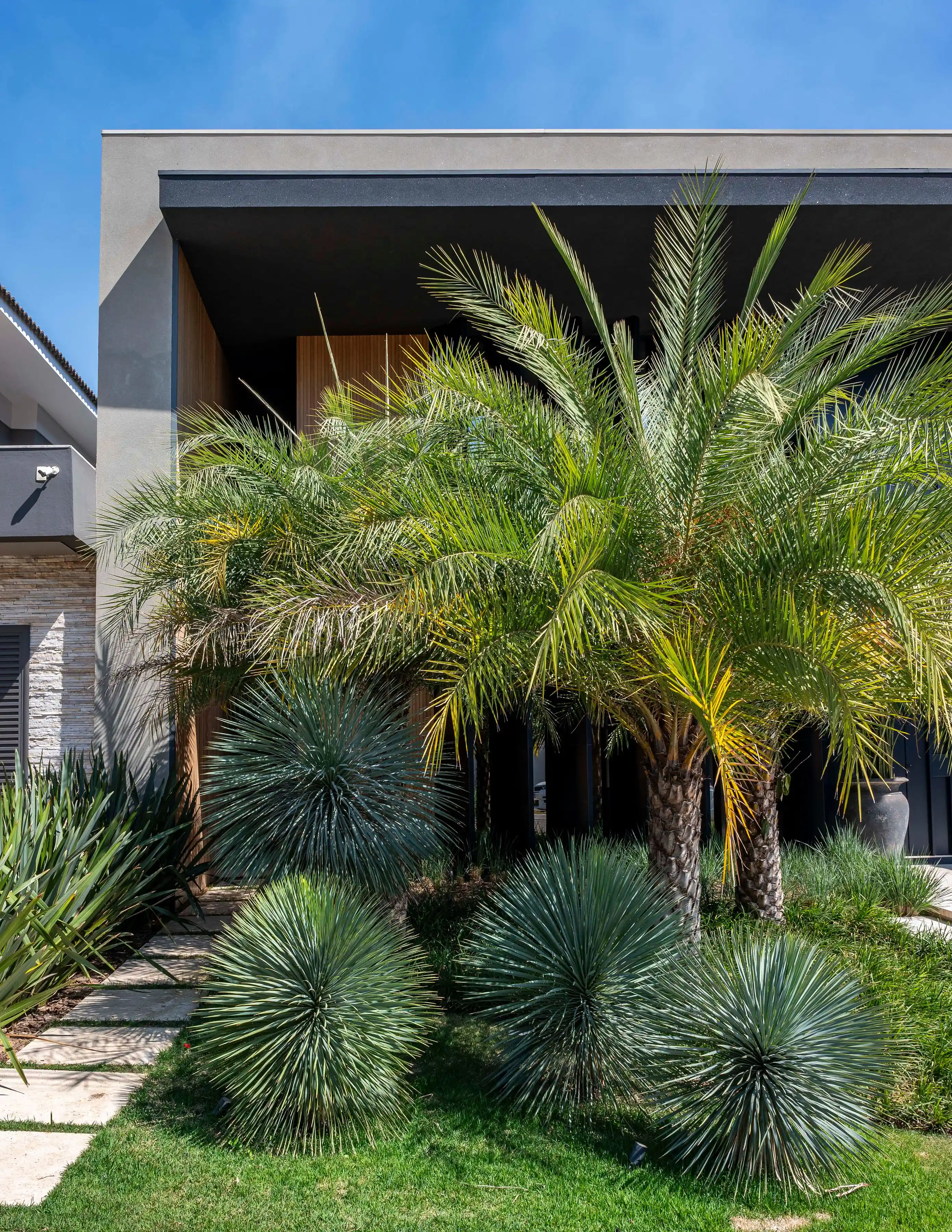 erros comuns ao cuidar de plantas em casa