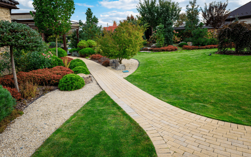 erros comuns ao cuidar de plantas em casa