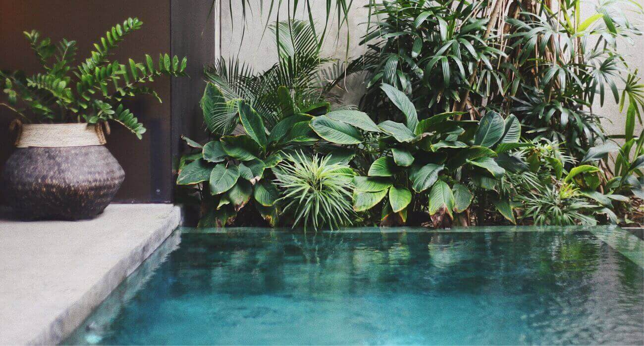 quanto custa um projeto de paisagismo completo