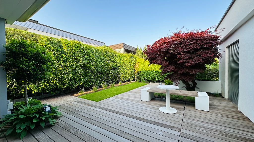 erros comuns no paisagismo de áreas sombreadas