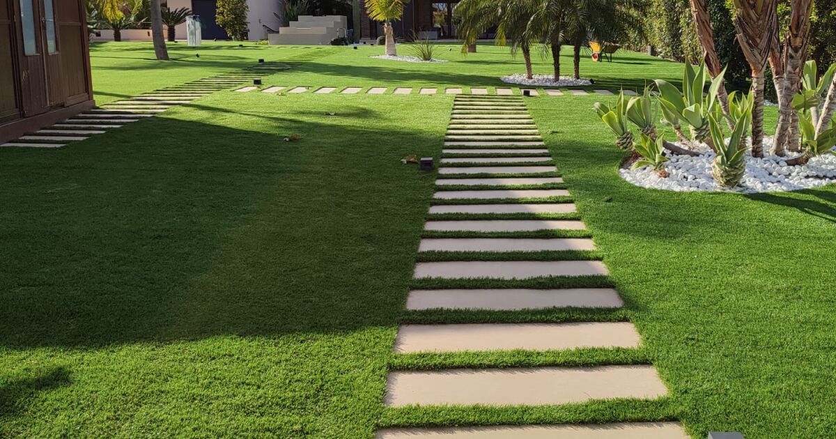 plantas de sombra vs plantas de sol pleno