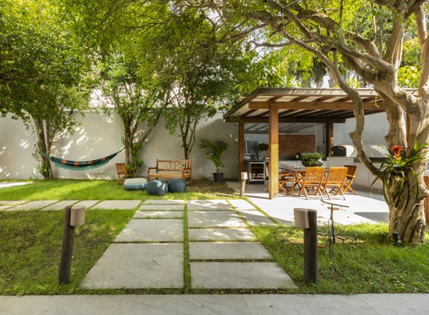 plantas de sombra vs plantas de sol pleno