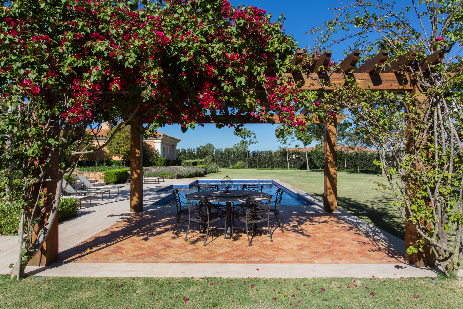 como escolher samambaias para paisagismo de sombra