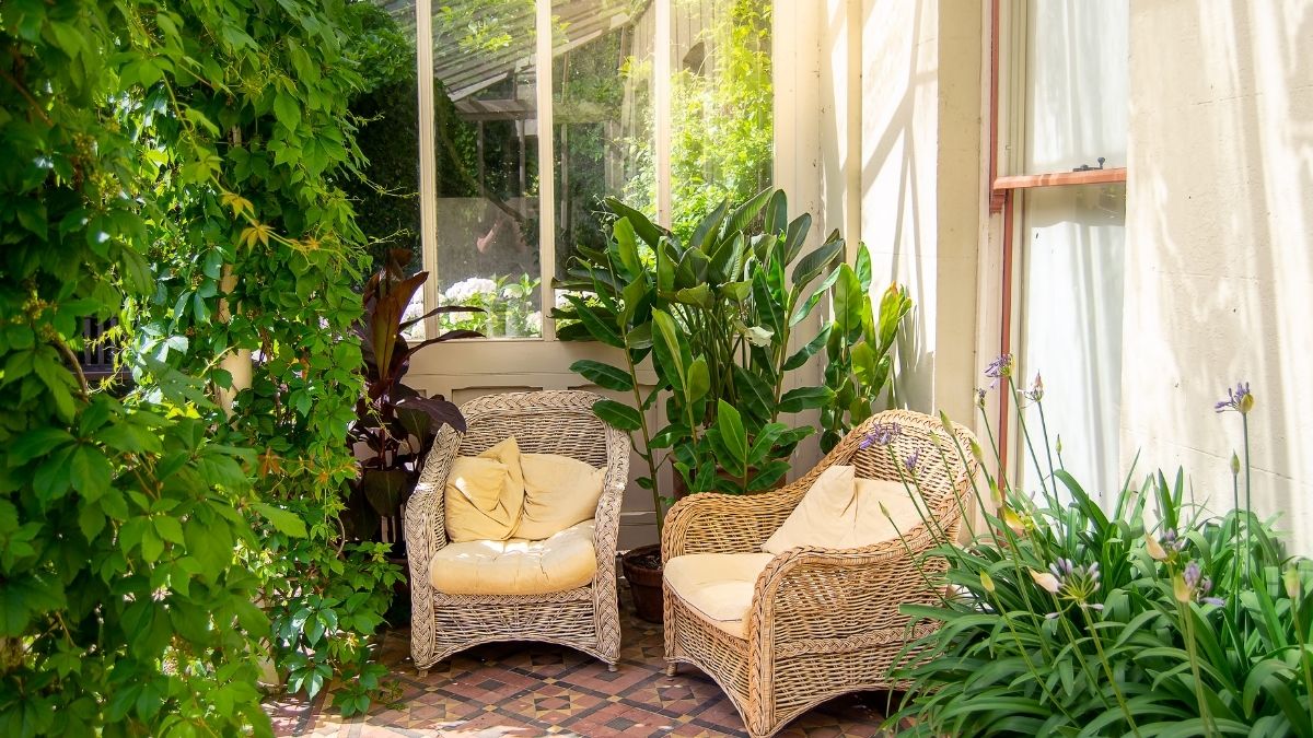 50 ideias de jardim de inverno simples e barato