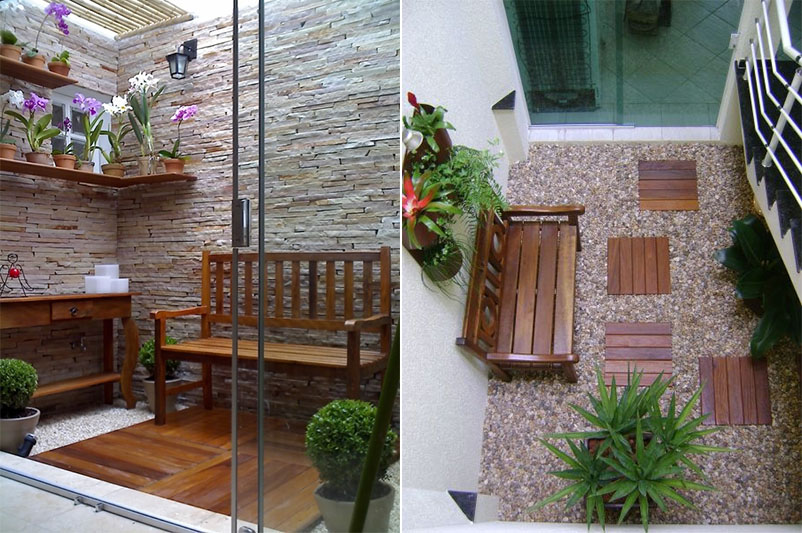 plantas para jardim de inverno com pouca luz vs muita luz