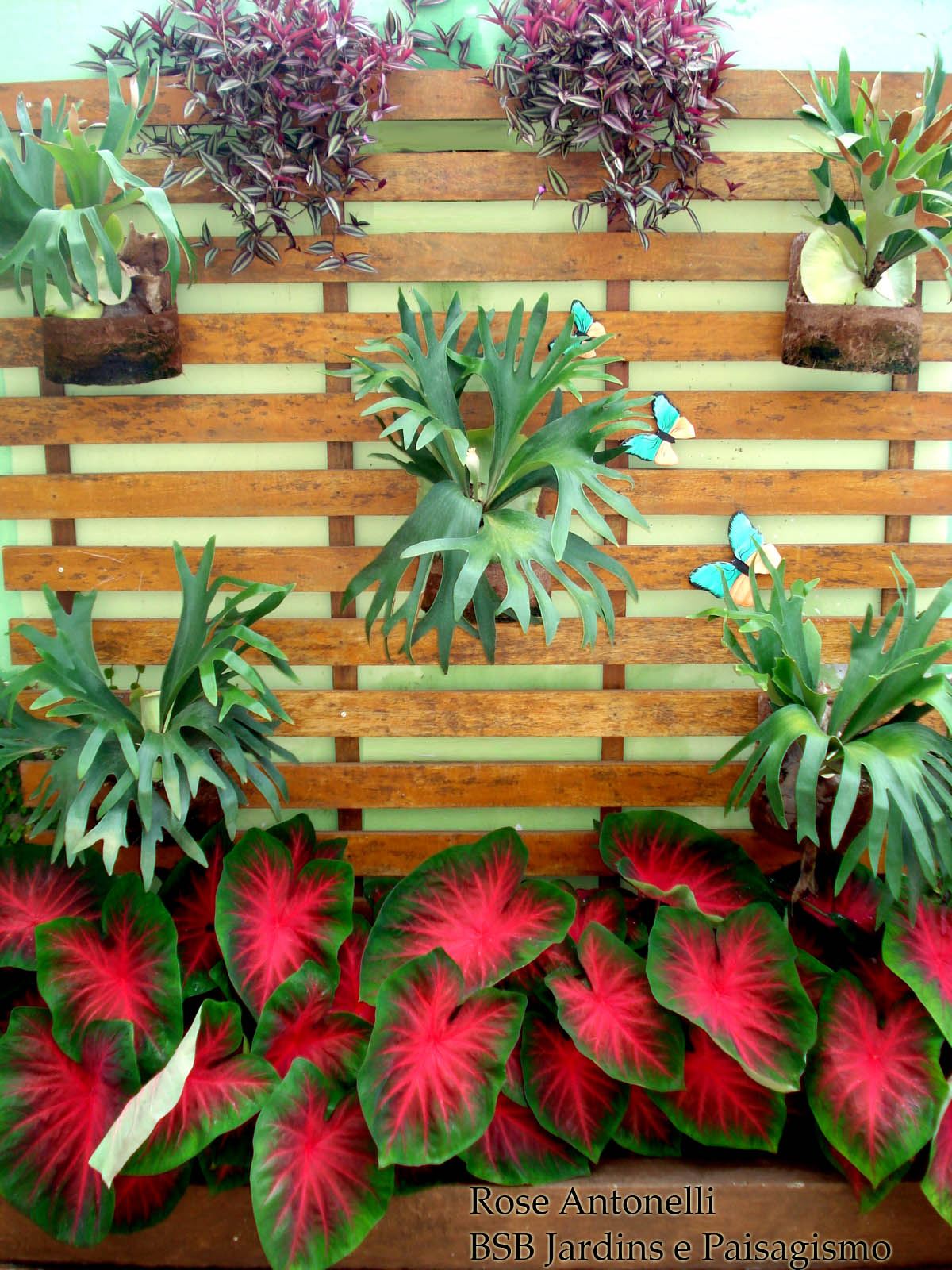 quanto custa fazer um jardim de inverno simples