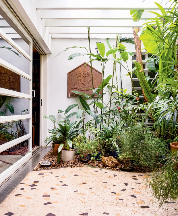 erros comuns ao montar jardim de inverno pequeno