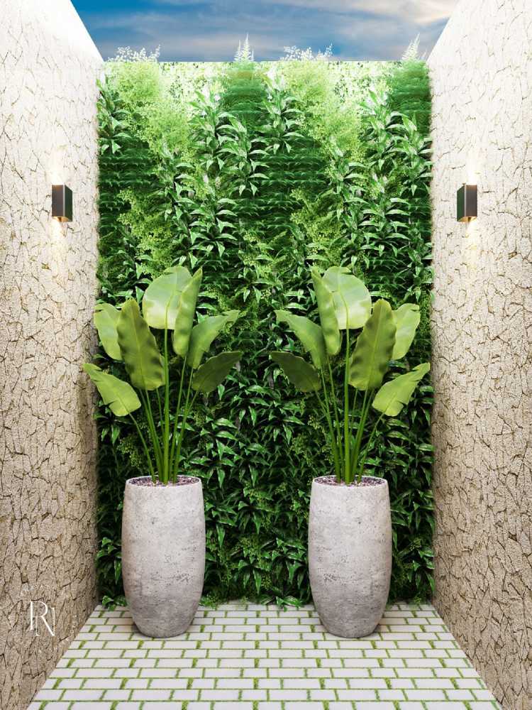 plantas para jardim de inverno com pouca luz vs muita luz