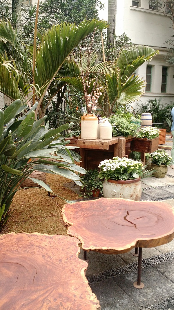 As Melhores Plantas para Jardins Pequenos: Sol Pleno ou Sombra?