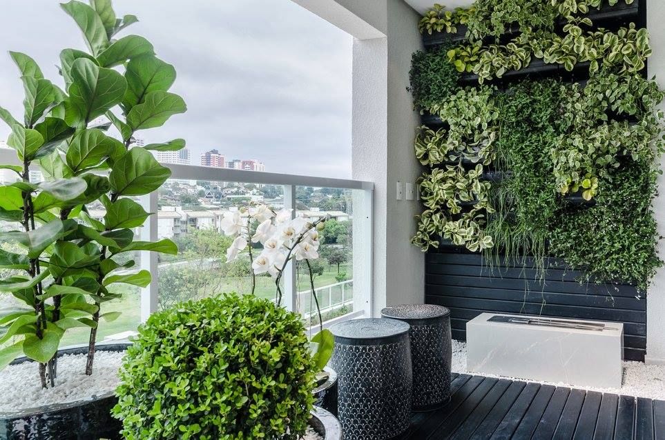 Guia Completo de Plantas para Varandas com Sol e Sombra