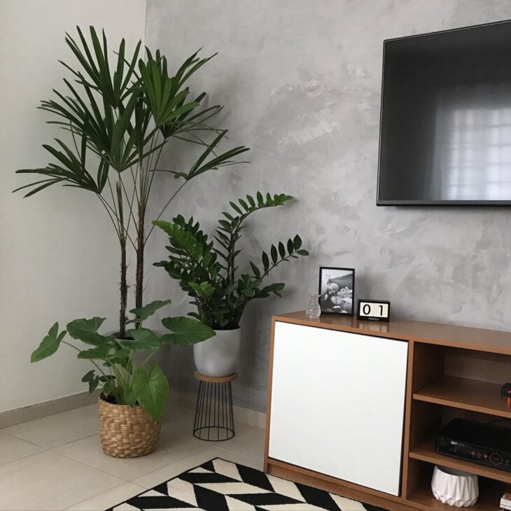 parede de cimento queimado