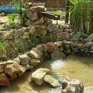 pedra jardim