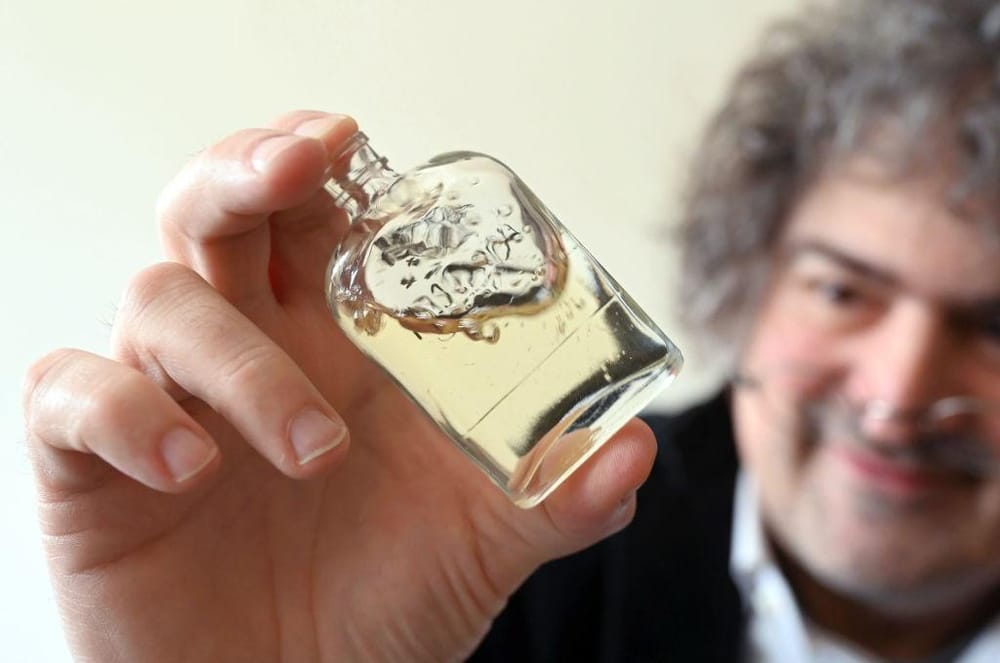 Entenda as Notas Olfativas: Um Guia para Amantes de Perfumes