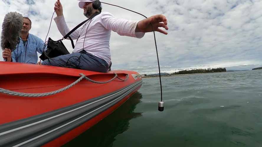 Guia Completo: Como Escolher o Perfume Ideal para Cada Ocasião