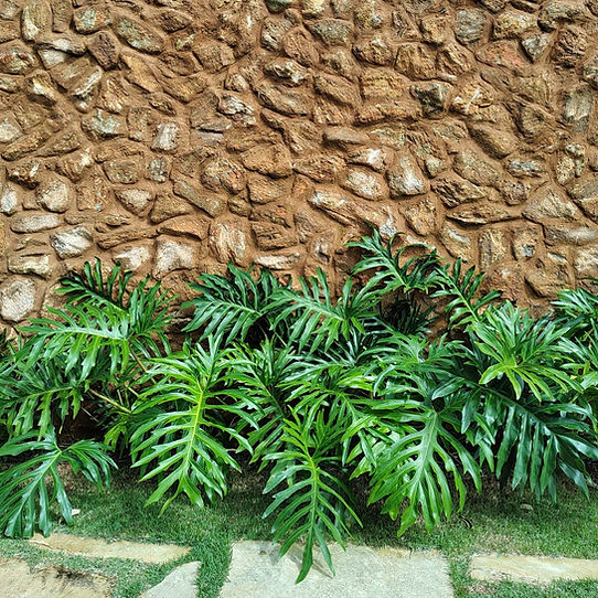 Guaimbê