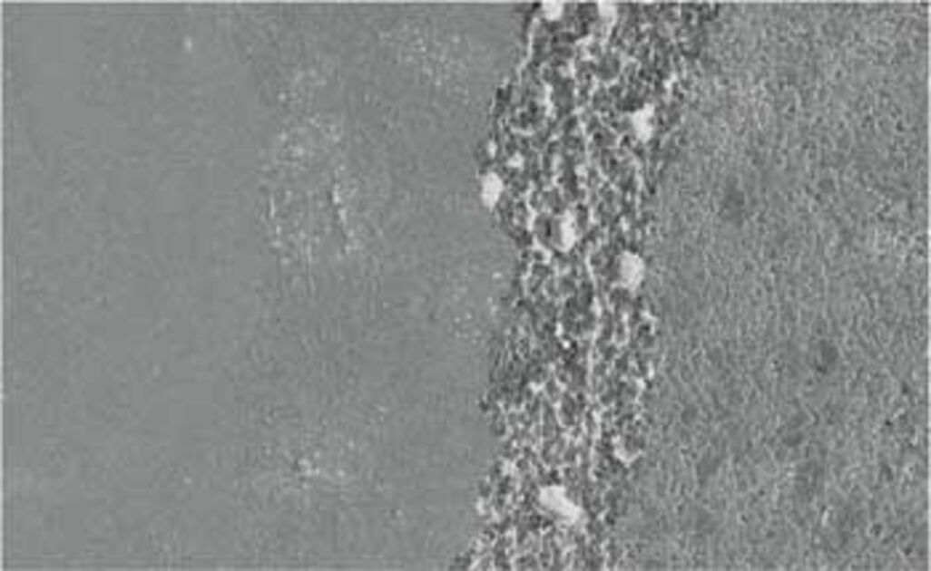 melhores pisos bacteriostáticos para sua casa