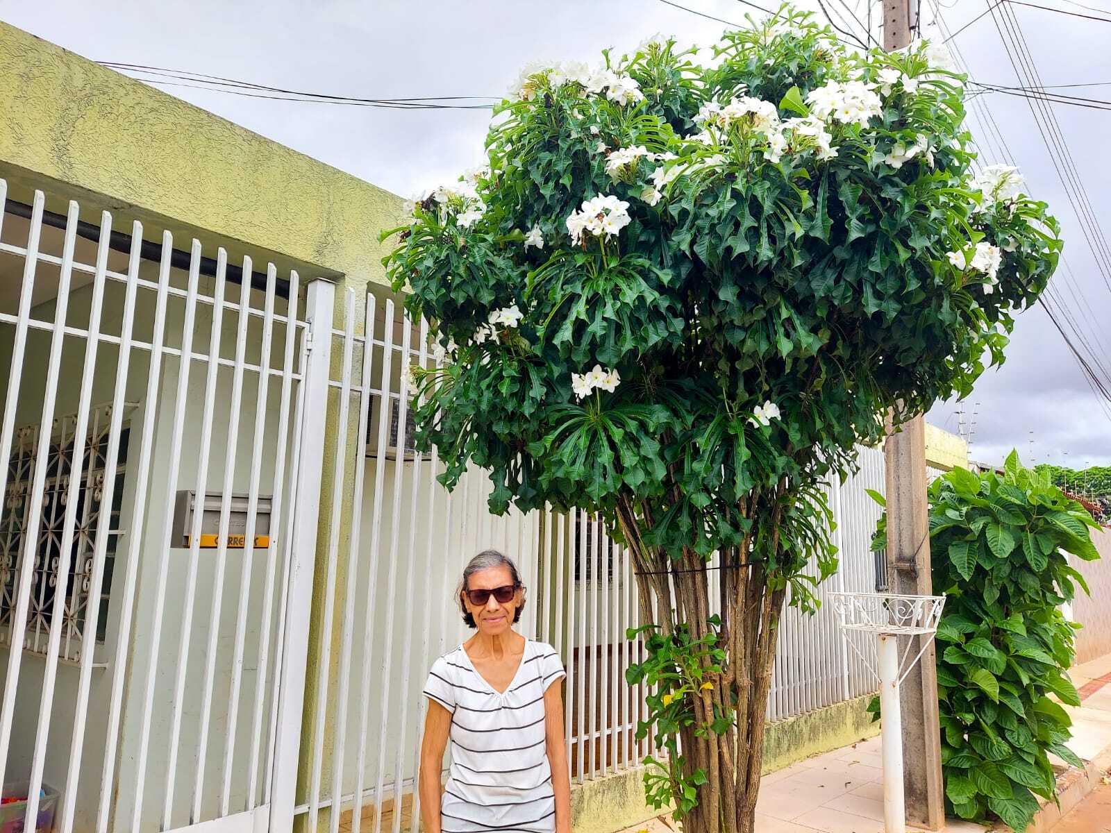 Cultivo buquê de noiva