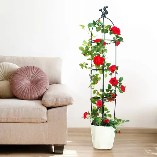 planta trepadeira