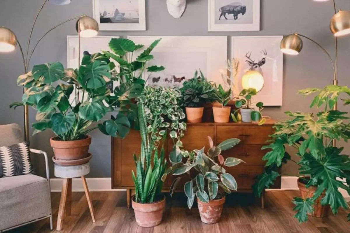Decoração de Quarto com Plantas: Ideias Criativas