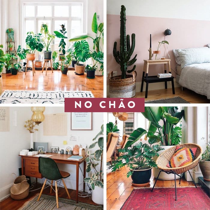 plantas no quarto