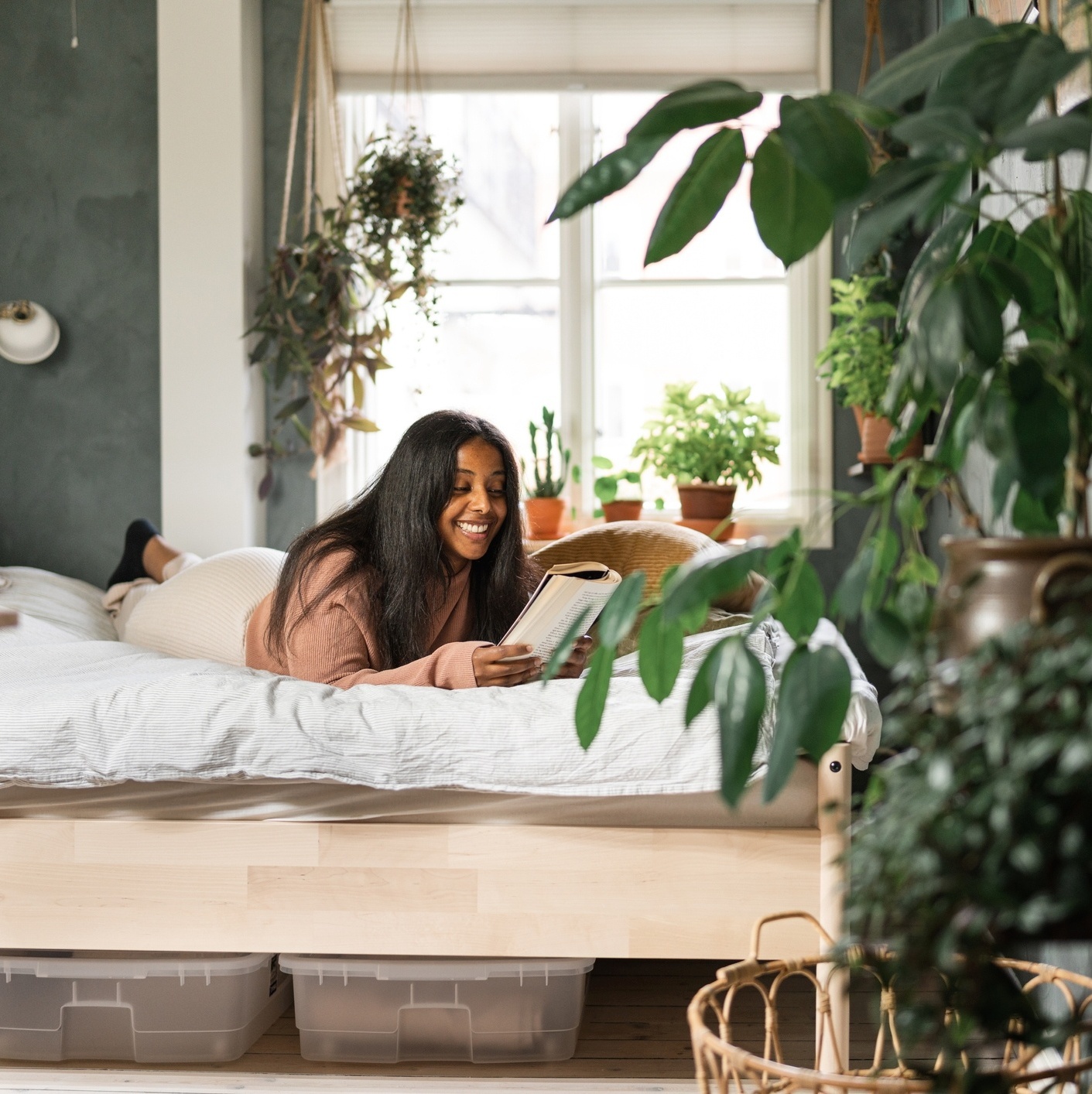 Mitos e Verdades sobre Plantas no Quarto